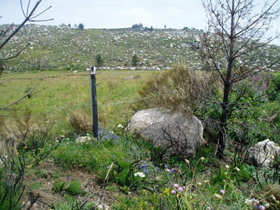 Fottur i Cevennes nasjonalpark