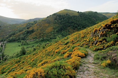 Nationalparken Cevennes 11