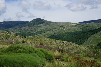 The Cevennes National Park 12