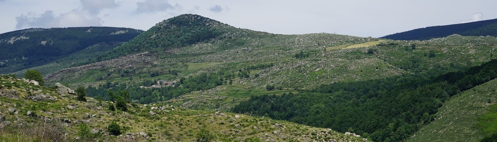Cevennes
