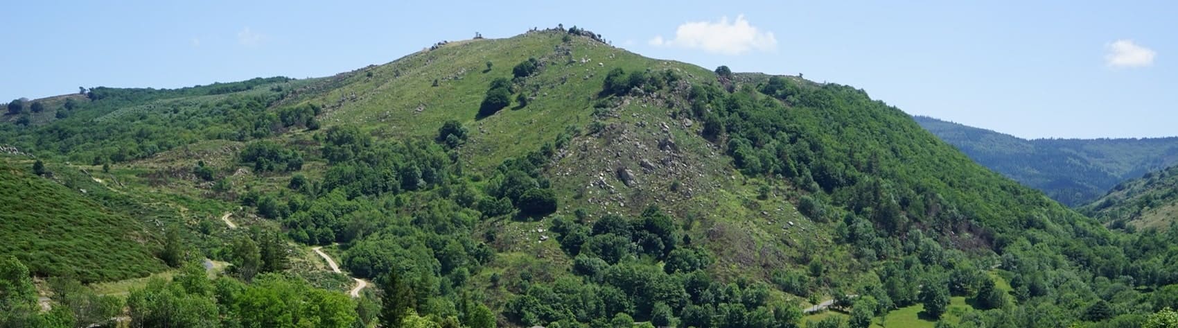 Cevennes