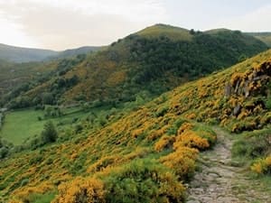 Sendero de 8 km en Pont-de-Montvert en Lozère 2