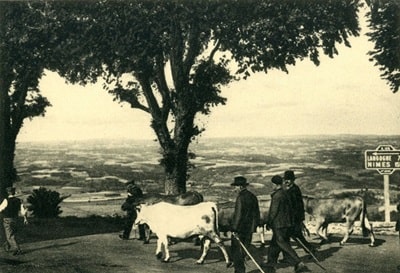 Senderismo con Robert-Louis Stevenson en Pradelles 6