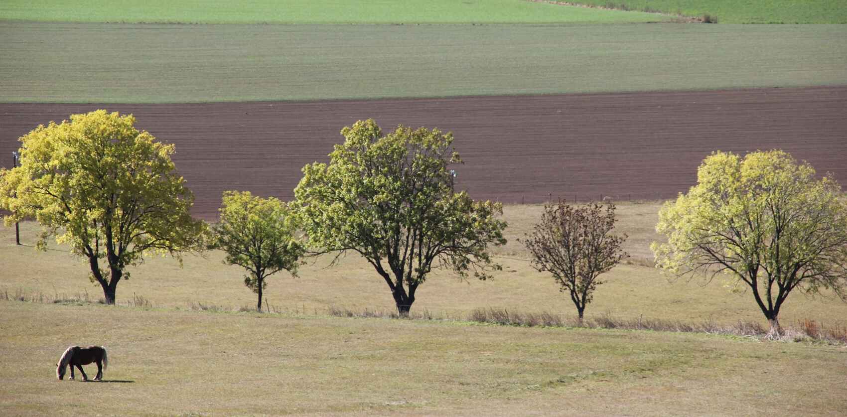 Vista desde Pradelles