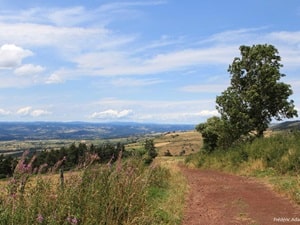 Sendero de 11,5 km en Pradelles, Haute-Loire 2