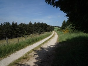 Sendero de 11,5 km en Pradelles, Haute-Loire 4
