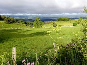 Haute-Loire