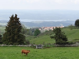 Sendero de 8 km en Pradelles, Haute-Loire 3