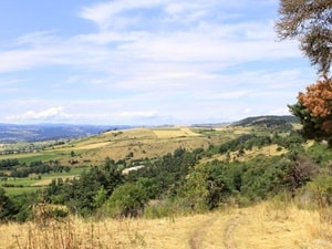 Sendero de 8 km en Pradelles, Haute-Loire 4