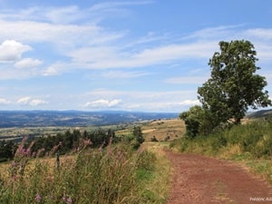 Sendero de 8 km en Pradelles, Haute-Loire 5