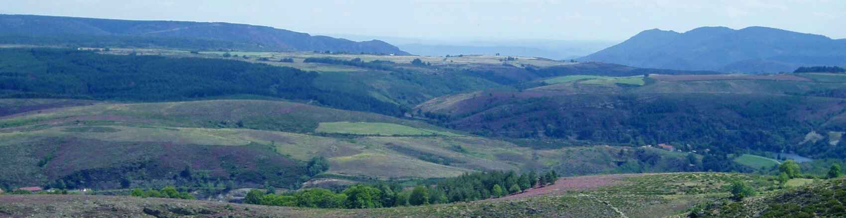 Cévennes