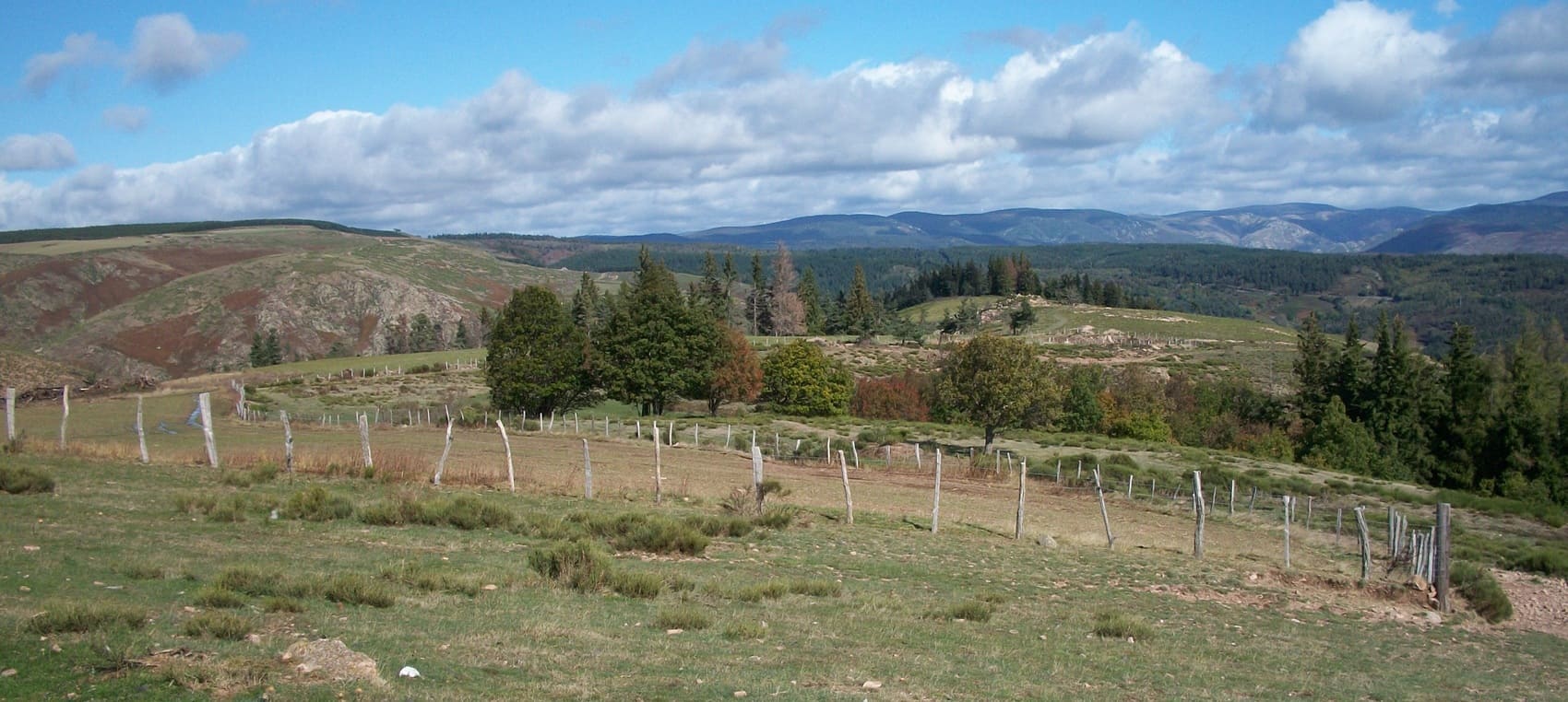 Cevennes