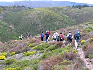 15.5 km hike in Prévenchères, Lozère 4