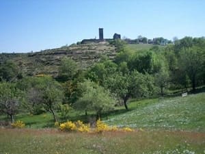 16.7 km hike in Prévenchères, Lozère 4