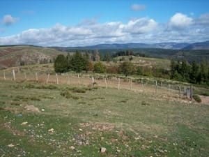 16.7 km hike in Prévenchères, Lozère 5