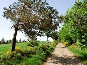 17.3 km hike in Prévenchères, Lozère 3