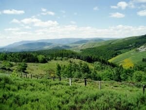 17.3 km hike in Prévenchères, Lozère 4