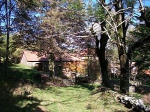 17.3 km hike in Prévenchères, Lozère 5