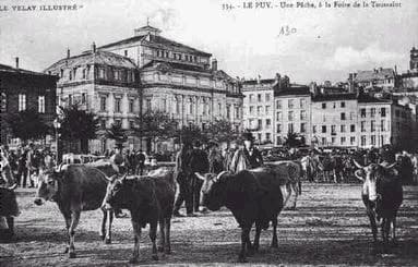 Cattle Fair