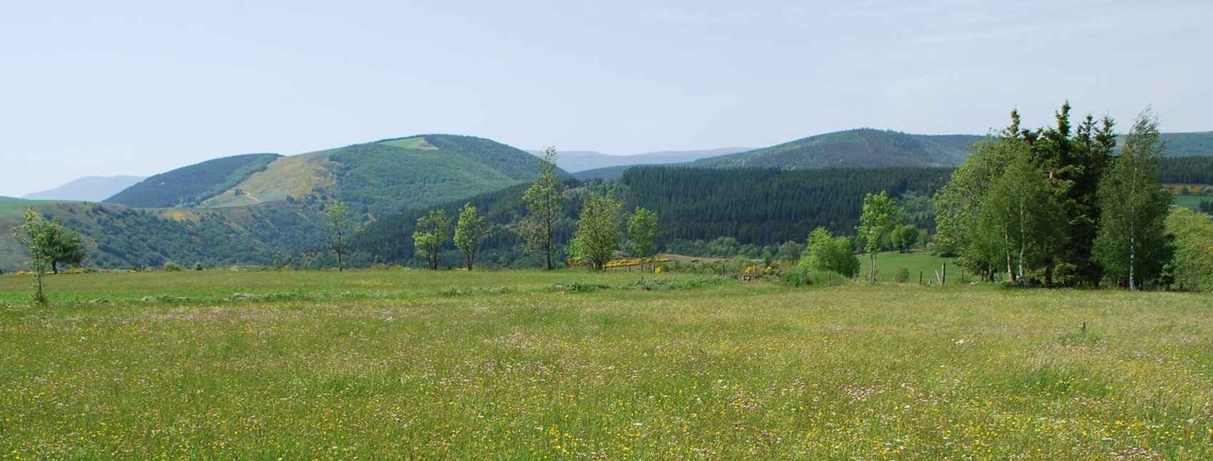 Cevennes