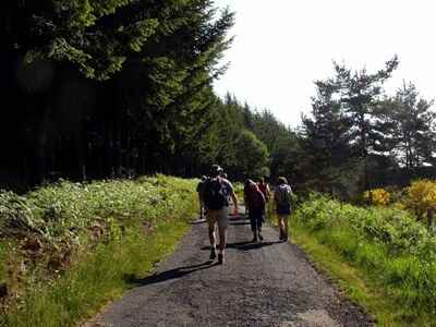 Hike from Puy-en-Velay to La Bastide-Puylaurent via the GR®70