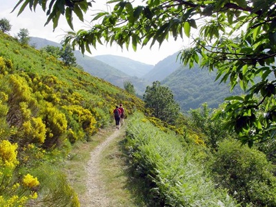 Unvergessliche Wanderung auf den Kämmen entlang der GR®72 & GR®7, die Saint-Laurent-Les-Bains auf der Ardèche-Seite überragen

