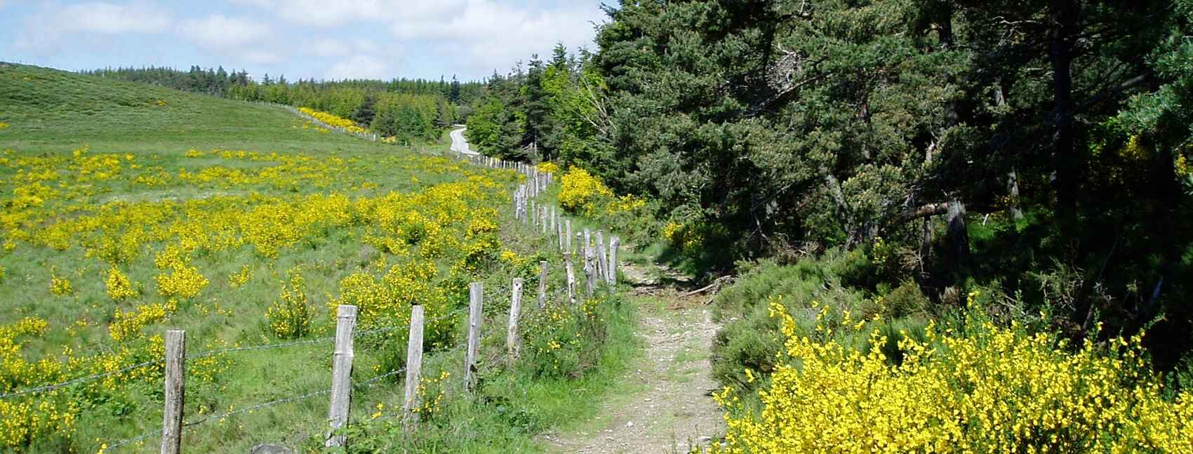 Loop hikes around L'Etoile Guesthouse