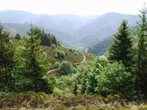 Vandretur på 16,6km i Saint-Laurent-les-Bains 2