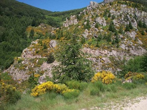 Πεζοπορία 4,5χλμ στο Saint-Laurent-les-Bains 5