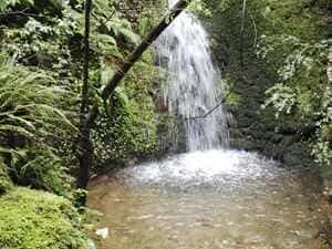 5,5 km vandring i Prévenchères i Lozère 5