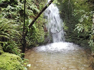 Vandring på 5,5 km i Prévenchères i Lozère 5