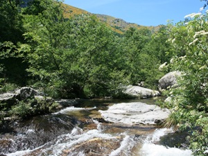 Randonnée de 9,2km à Prévenchères en Lozère 4