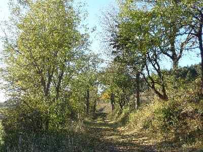 Stevenson Trail