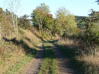 Stevenson Path