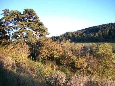 region of Brive-Charensac-Blavozy