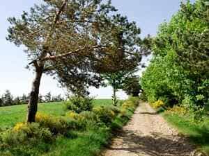 11,2 km vaellus L'Etoile majatalosta La Bastide-Puylaurentissa Lozèressä 2