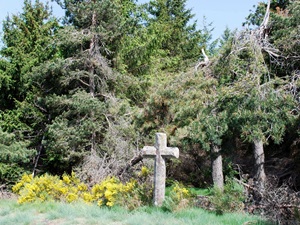 Randonnée de 11,2km à La Bastide-Puylaurent en Lozère 3