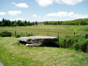 11,2 km hike in La Bastide-Puylaurent in Lozere 4