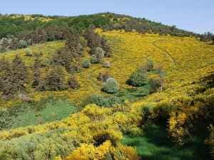 Randonnée de 14km depuis L'Etoile Maison d'hôtes à La Bastide-Puylaurent en Lozère 5