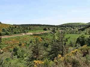 Caminata de 15,5 km en La Bastide-Puylaurent entre Lozère y Ardèche 1