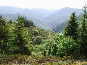 Caminata de 15,5 km en La Bastide-Puylaurent entre Lozère y Ardèche 3