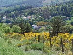 Caminata de 15,5 km en La Bastide-Puylaurent entre Lozère y Ardèche 5