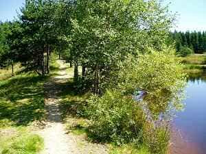 24 km fottur fra L'Etoile gjestgiveri til La Bastide-Puylaurent i Lozère 3