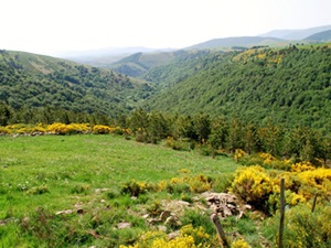 Vue sur le Tanargue