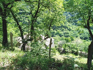 Alzons στη Lozère