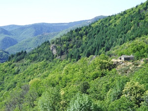 Ardèche mountains