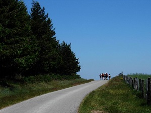 25km biking loop at La Bastide-Puylaurent in Lozere 5