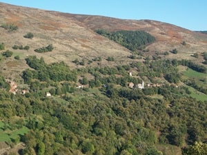Vallée de la Borne
