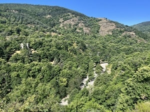 Tanargue