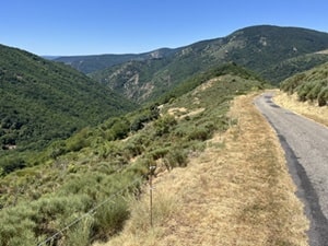 Loubaresse